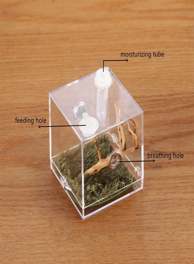 crapelles Jumping Spider Micro Big Habitat, Small Pet Insect Breeding Box, 360 Degree High Transparent Reptile Cage, Acrylic Case Mini Carrier for Amphibians, Feeding Container Enclosure Accessories - Image 4